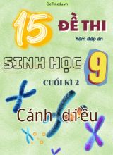 Tuyển tập 15 Đề thi cuối Kì 2 môn Sinh Học 9 sách Cánh Diều (Kèm đáp án)
